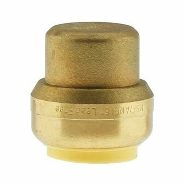 Boshart 1 IN PUSH FIT CAP PENL-PFCA10